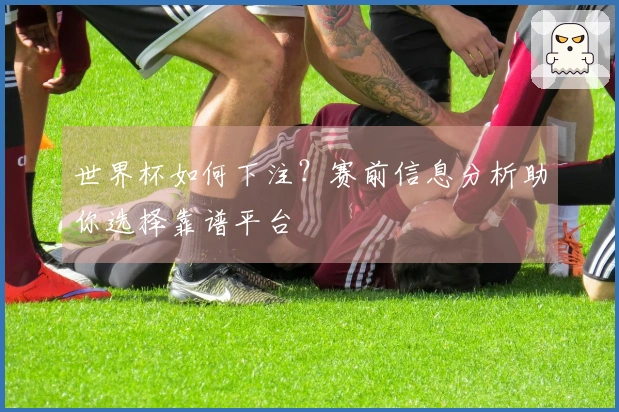 世界杯如何下注？赛前信息分析助你选择靠谱平台