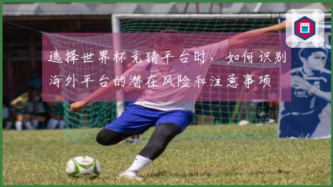 选择世界杯竞猜平台时，如何识别海外平台的潜在风险和注意事项